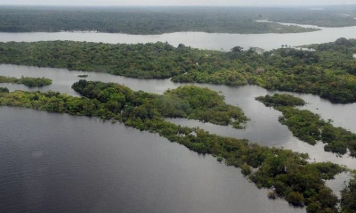 Capa da noticia BNDES aprova doações de Suíça e EUA ao Fundo Amazônia