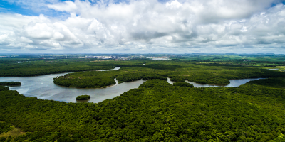Capa da noticia BNDES apoia projetos de Manejo Florestal Sustentável no interior da Amazônia
