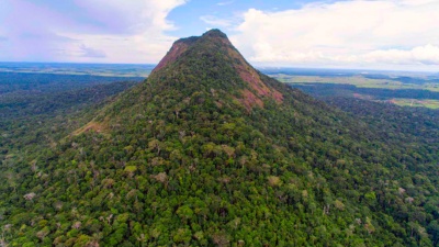 Capa da noticia BNDES divulga lista de projetos que terão R$ 8,15 mi em apoio para restauração da Mata Atlântica 