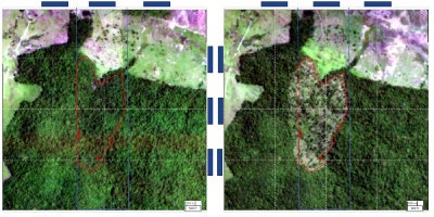 Capa da noticia BNDES chega à marca de R$ 806,3 mi de crédito evitado a proprietários de terras com indícios de desmatamento ilegal