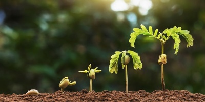 Capa da noticia BNDES anuncia programa para  aquisição de créditos de carbono regulares