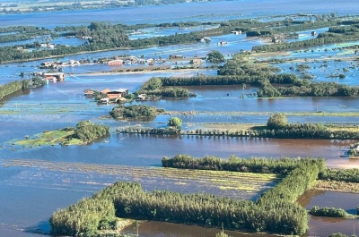 Capa da noticia RS: BNDES aprova mais de R$ 3 bi ao agronegócio no 1º dia de reabertura do crédito emergencial 