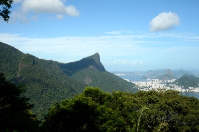 Vista da mata atlântica na Floresta da Tijuca, no Rio de Janeiro