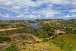 Vista área em Paudalho, um dos municípios abrangidos pelo edital
