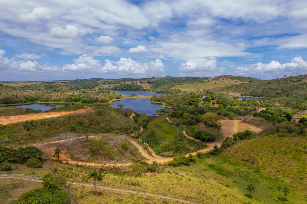 Vista área em Paudalho, um dos municípios abrangidos pelo edital