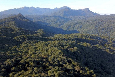 Capa da noticia BNDES e Philip Morris Brasil destinam até R$ 8,88 milhões a projetos de restauração ecológica da Mata Atlântica