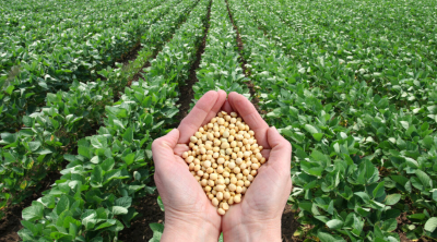 Capa da noticia BNDES financia cooperativa de alimentos com atividades no Mato Grosso do Sul e Paraná