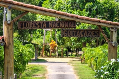 Flona Goytacazes reúne 1,4 mil hectares de Mata Atlântica em Linhares (ES)