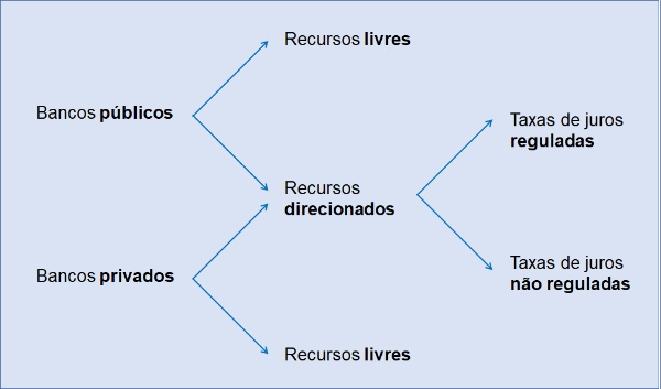 Figura1-taxonomia-credito