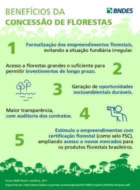 Grafico Beneficios da concessao de florestas