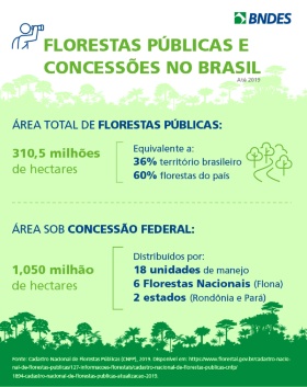 Grafico florestas publicas e concessões federais