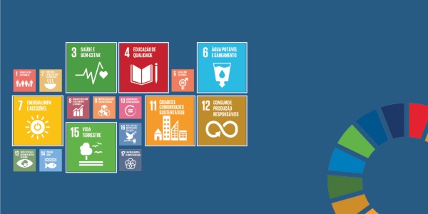 Desenvolvimento sustentável: o que é e como podemos ajudar?